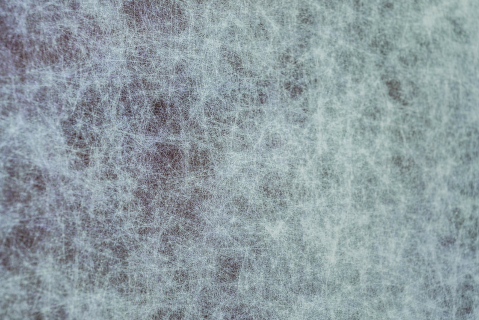 2020-Cosmos of thoughts